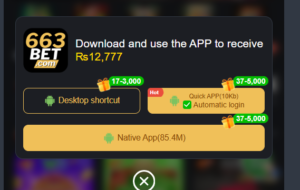 663Bet Game Download Pakistani Earning Platform Official App 2026 1