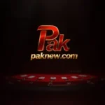 Paknew game logo
